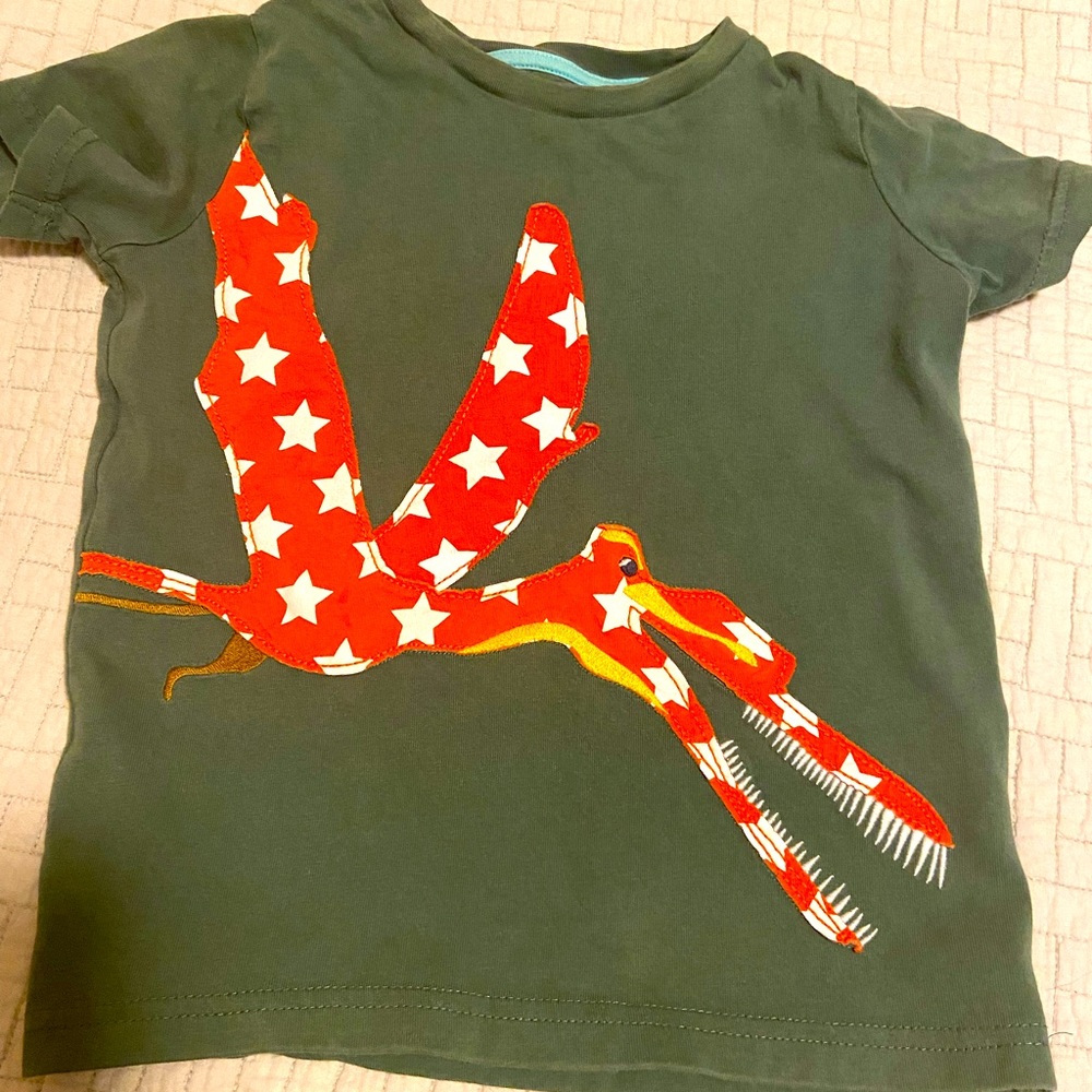 Boys Dino Shirt 🦖